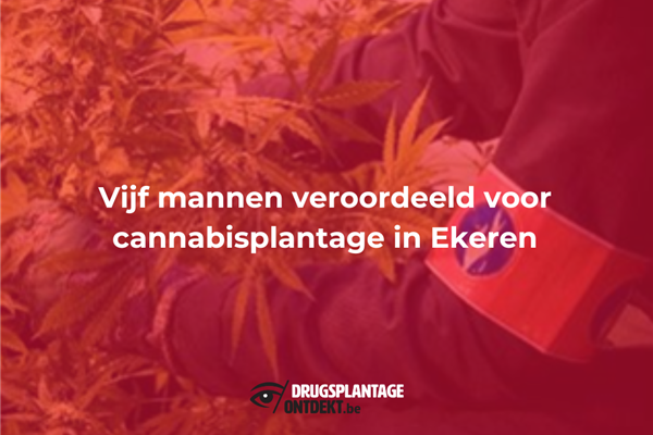 Ekeren - Vijf mannen veroordeeld voor cannabisplantage